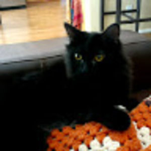 Meet your Posher, Megan